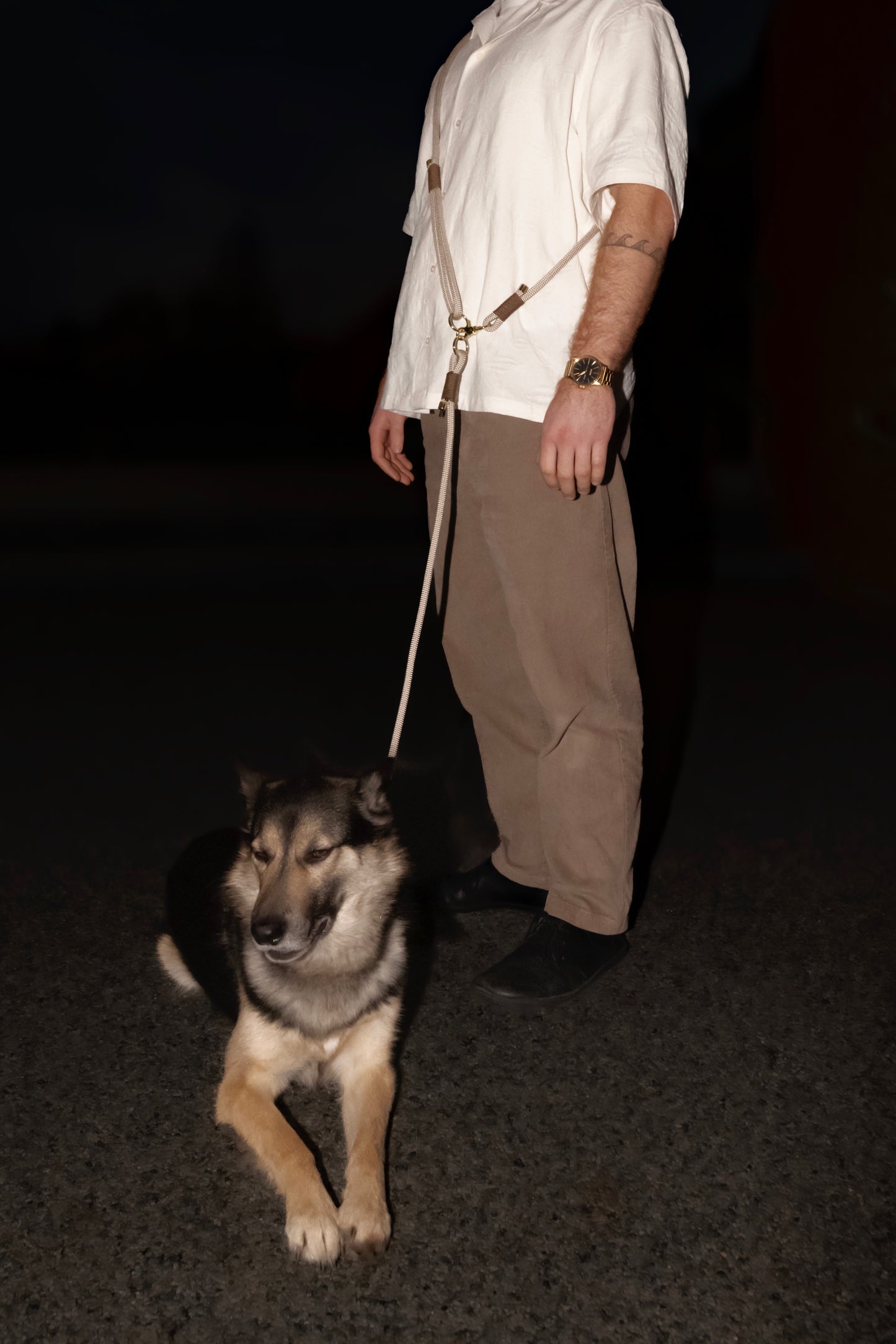 The Caffe Latte Dog Leash