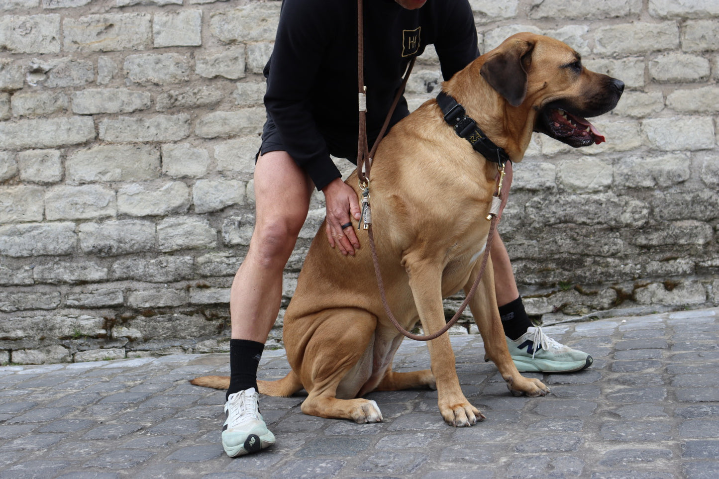 The Hazelnut Brown Dog Leash
