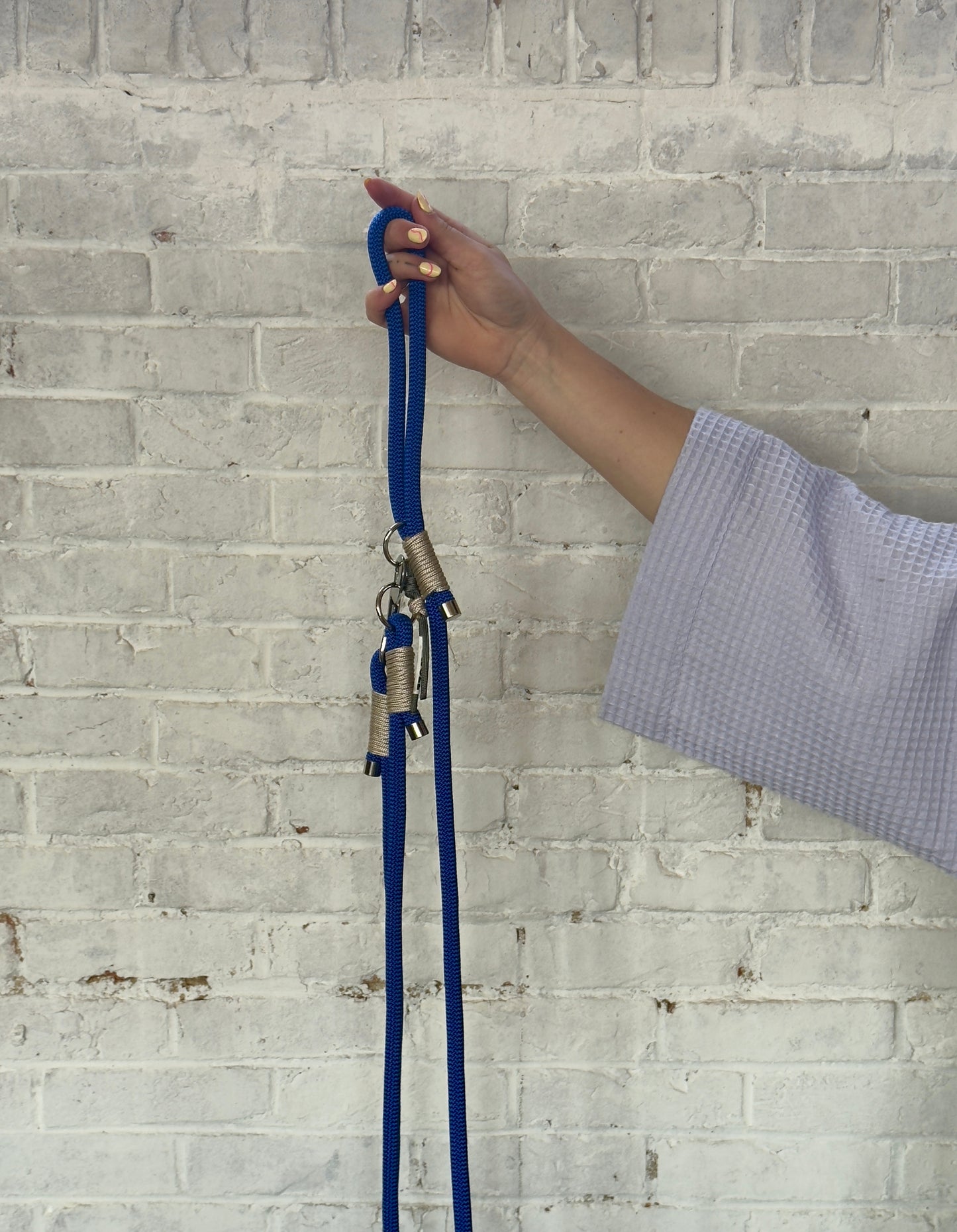 The Blue Chrome Funk Dog Leash
