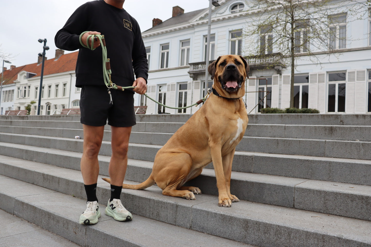 The Holy Guacamole Dog Leash