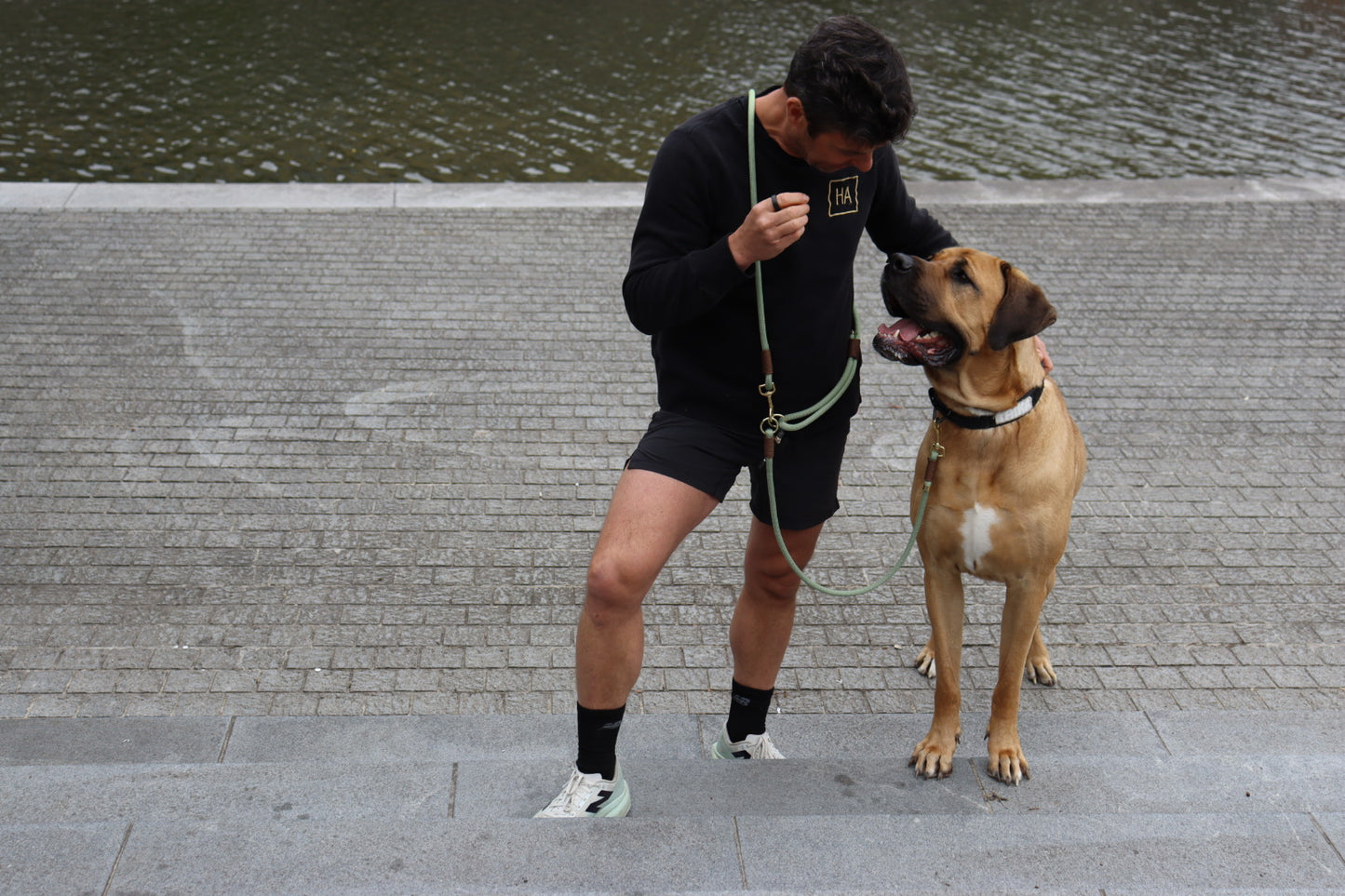 The Holy Guacamole Dog Leash