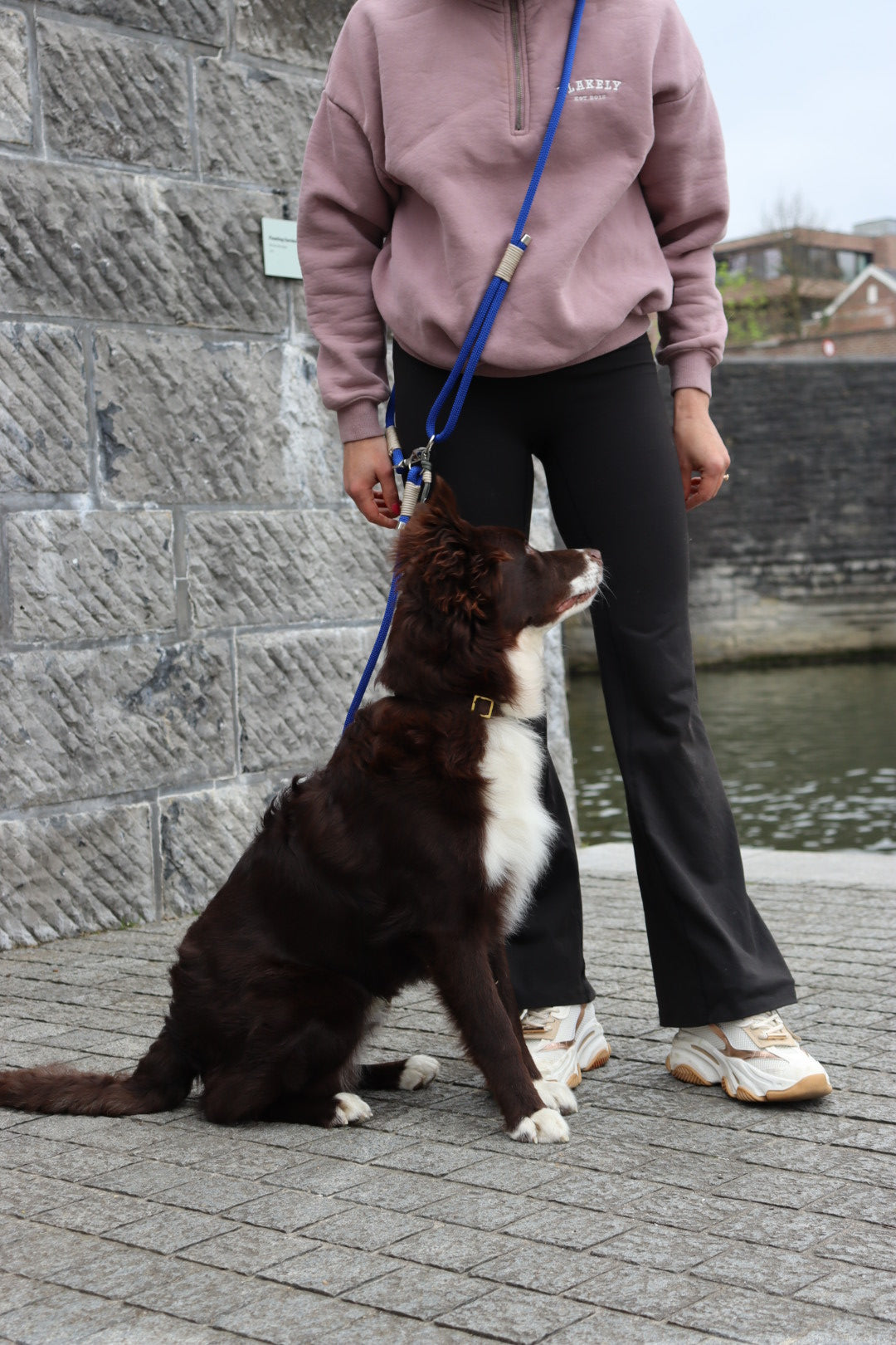 The Blue Chrome Funk Dog Leash