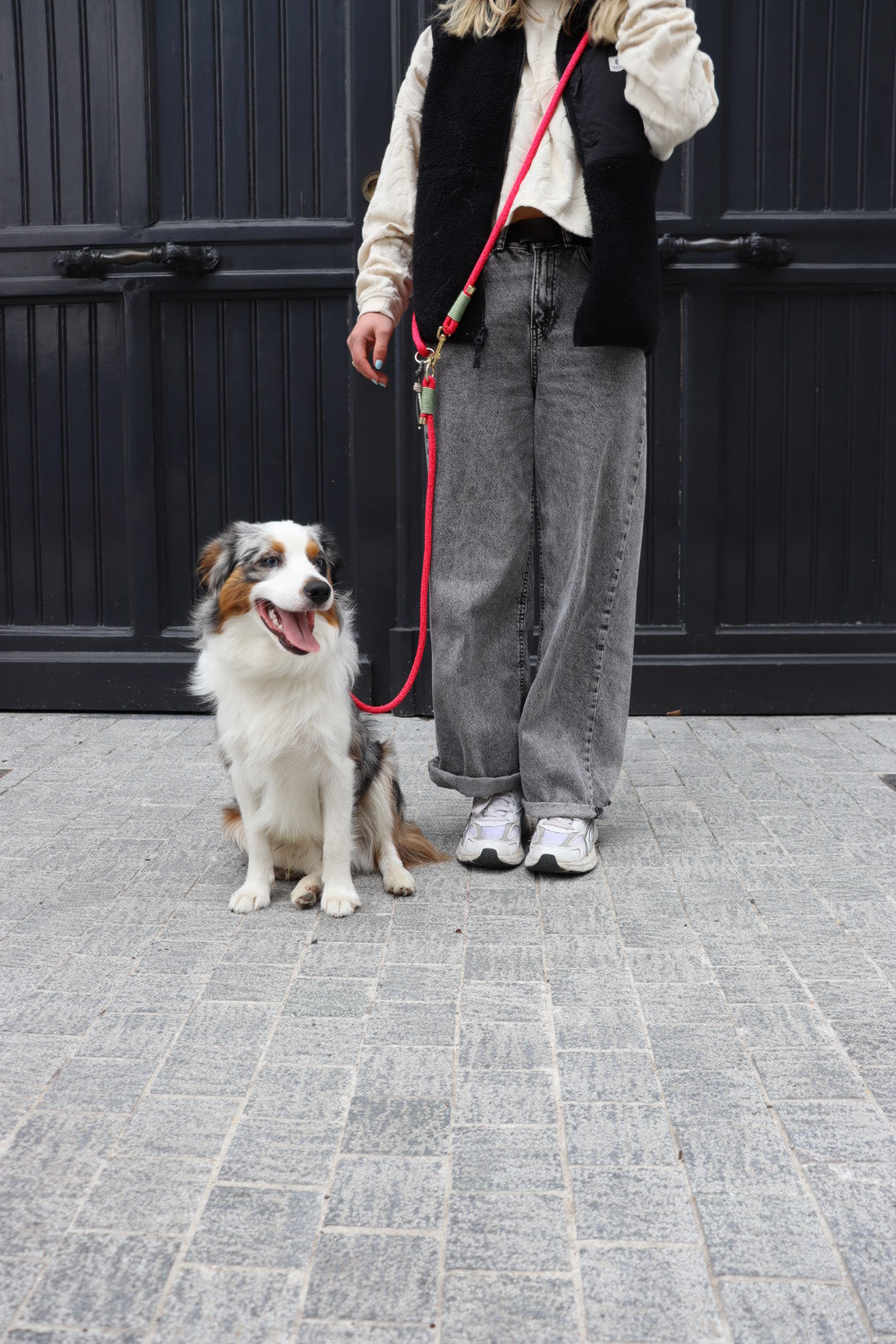 The Strawberry Pink Dog Leash