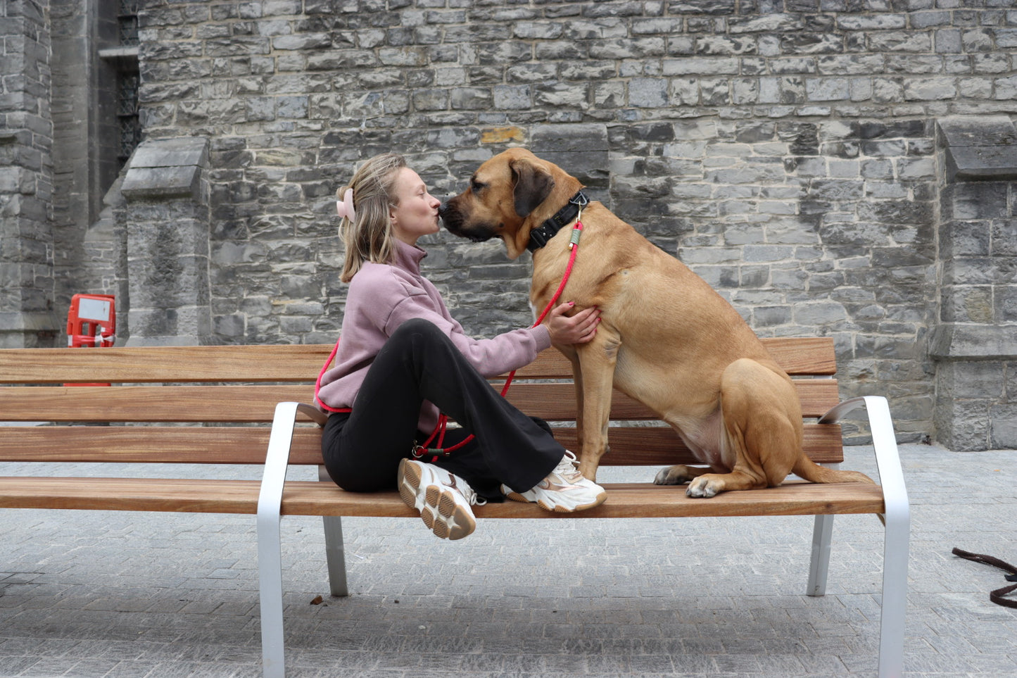 The Strawberry Pink Dog Leash