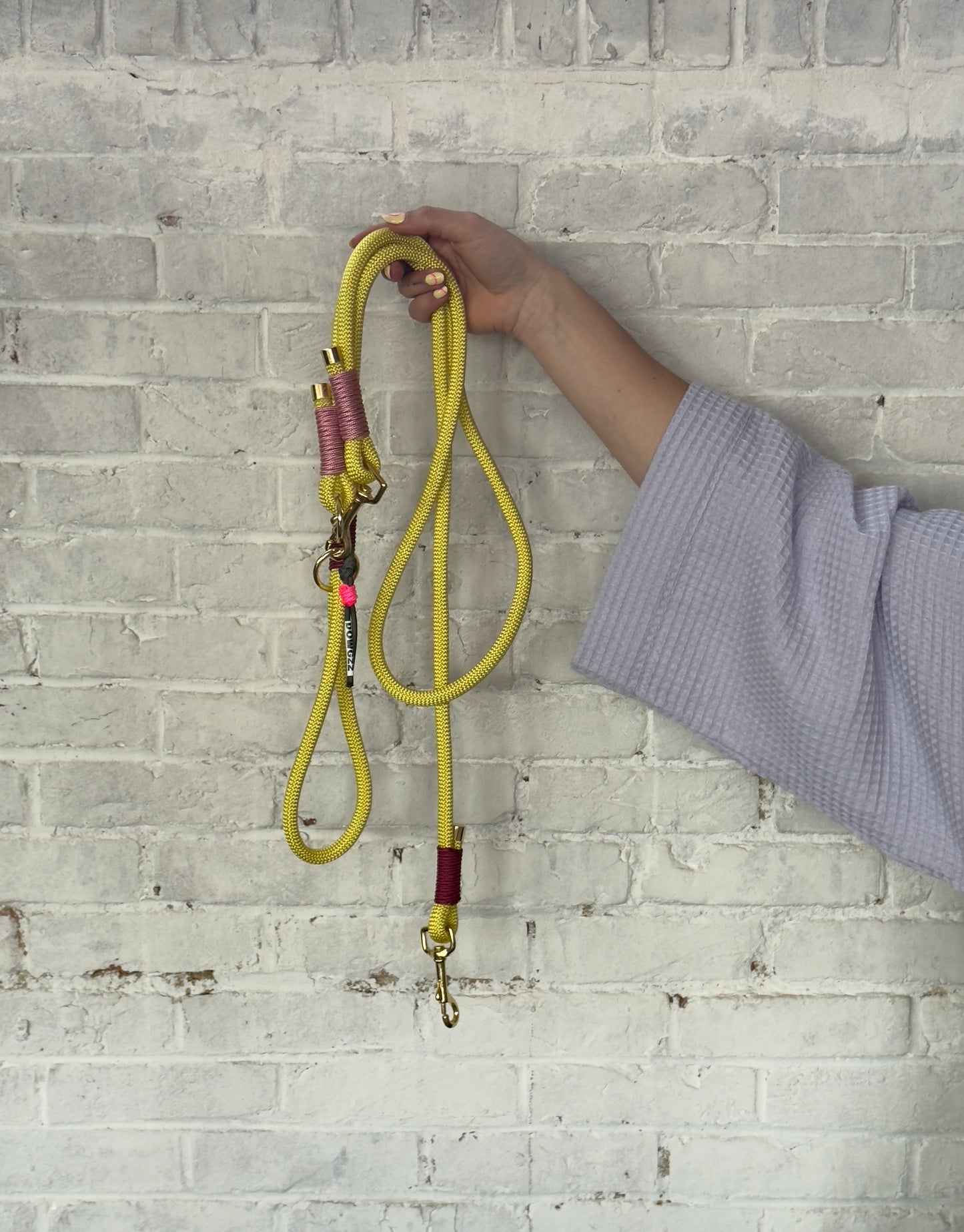 The Bubblegum Boogie Dog Leash