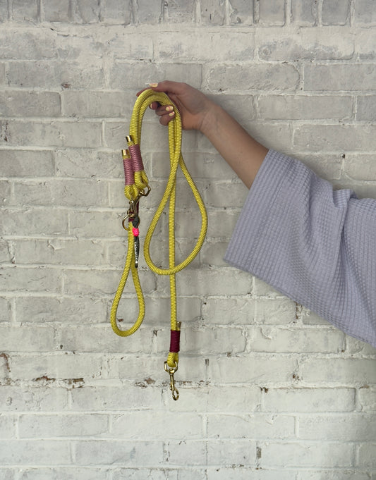 The Bubblegum Boogie Dog Leash