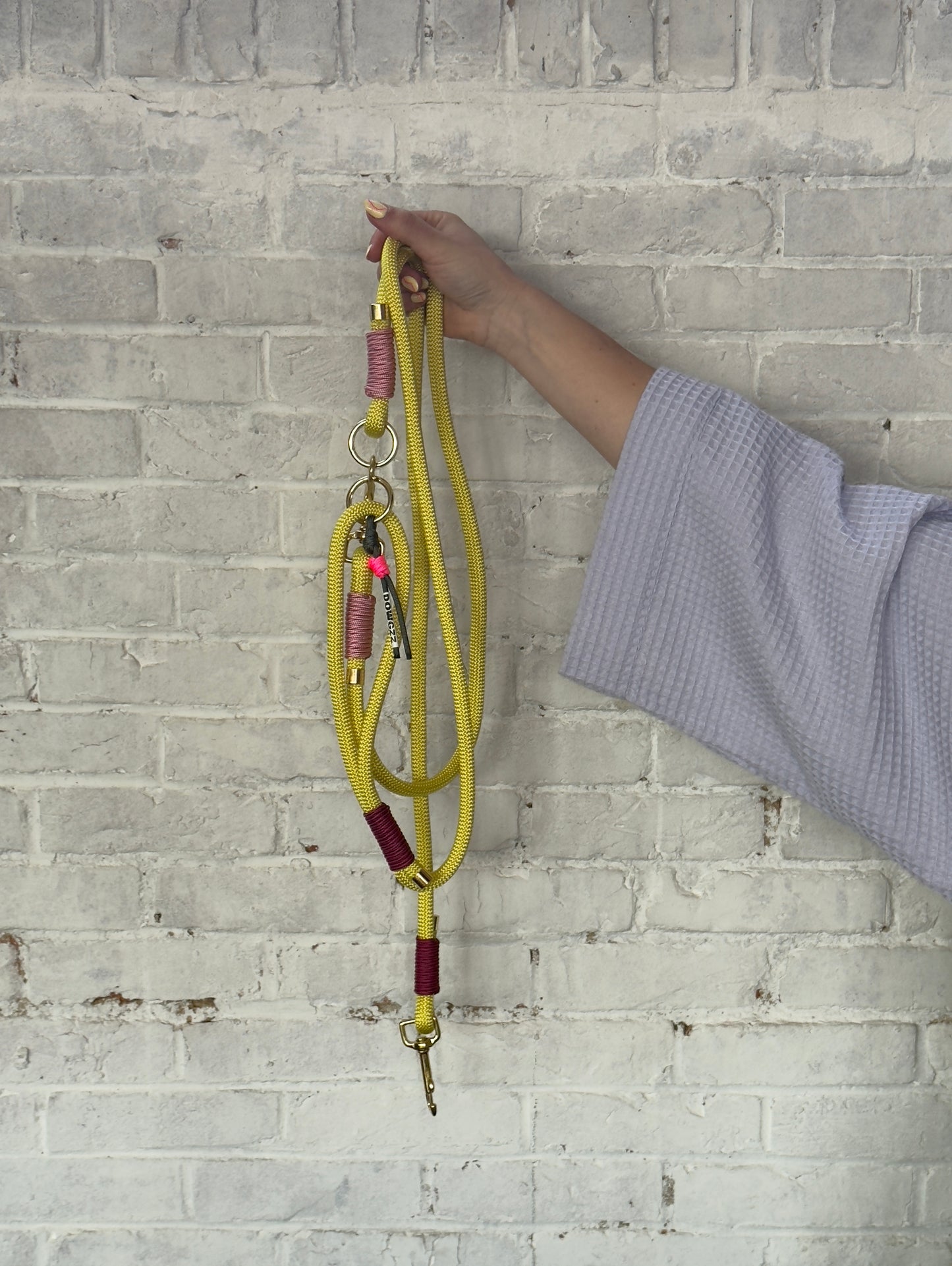 The Bubblegum Boogie Dog Leash