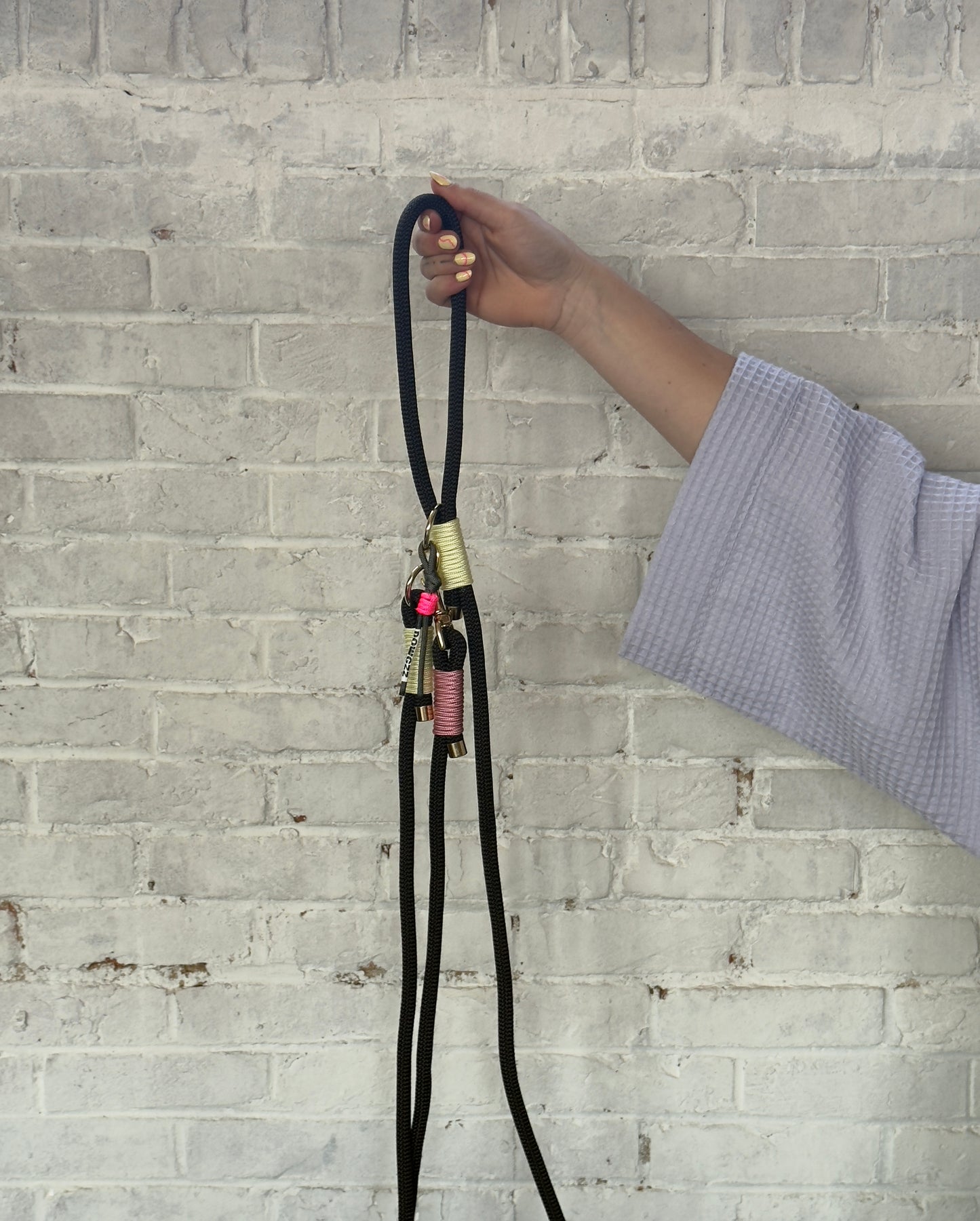 The Groove Dog Leash