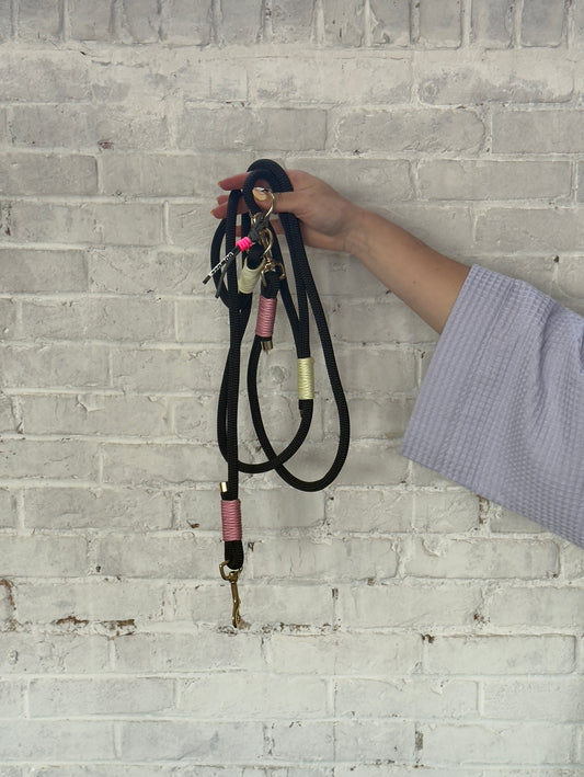 The Groove Dog Leash