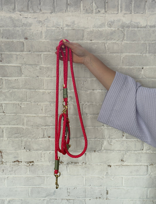 The Strawberry Pink Dog Leash