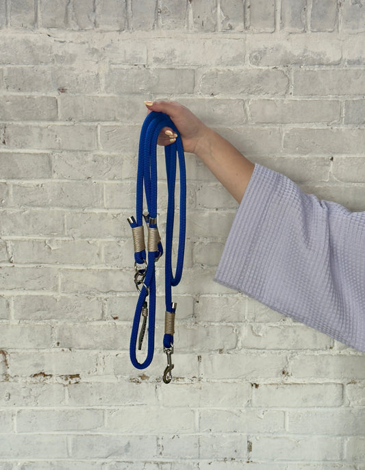 The Blue Chrome Funk Dog Leash